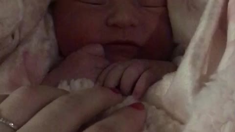 Adorable newborn cuddled up in her warm furry blanket