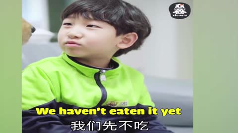 korean boy vs korean dog viral video