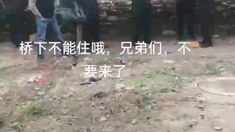 Shanghai police drive away homeless people living in a bridge hole