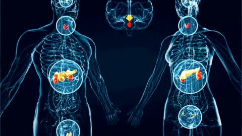 Healthy Endocrine System - Healing Subliminal