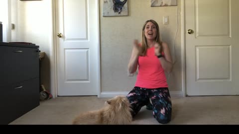 How To Teach A Dog To Give You Paw(Super Easy)