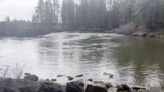 Fun Fact about National Wild & Scenic Rivers – Deschutes River – Central Oregon – 4K