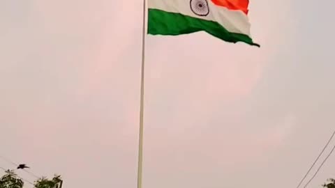 Indian flag 🇮🇳
