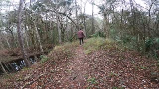 Colt Creek Hike Jan 2021