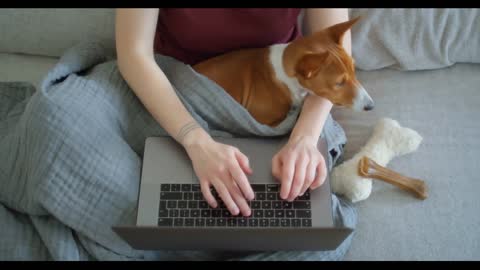 Young woman sit on sofa and work remotely on laptop with small puppy dog on lap