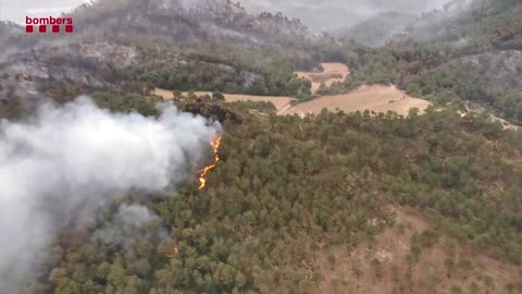 Wildfire stabilized in Catalonia after "a nervous night"