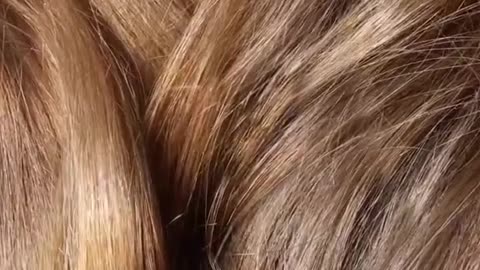 Satisfying Macro - Hair Macro