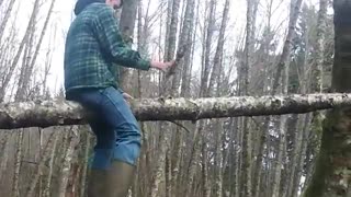 A man in green jacket falls with tree branch