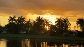 Florida Sunset 🌅