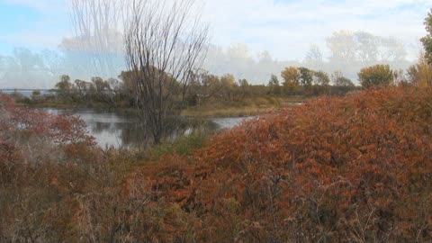 Automne 2012 Parc des Rapides LaSalle Qc