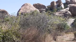 Stones Hill in Dodoma Tanzania