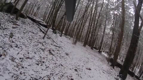Curious Deer walks up to Hunter Video
