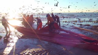 Lisbon Costa da Caparice Traditional fishishing pt 2