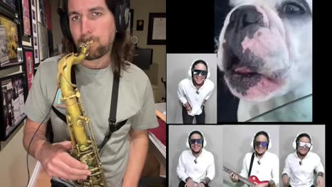 Making Awesome 🤣 Music With Dog