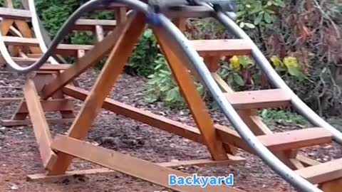 Roller coaster in the backyard