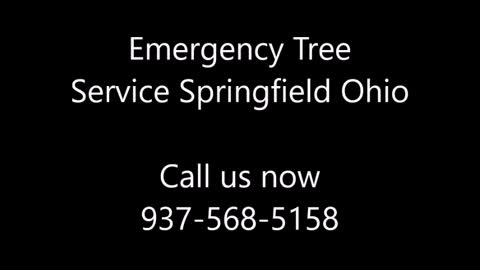 Emergency Tree Service Springfield Ohio
