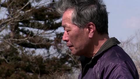 Rancher guards irradiated cattle near Fukushima