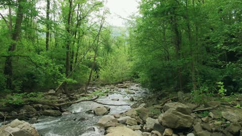 A Shallow River Streaming Through A Bed Of Rocks