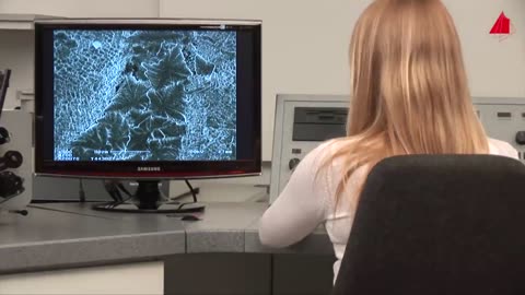 The Scanning Electron Microscope: Material Science