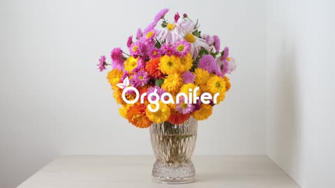 Cut Flowers Seed Packet – 20 Varieties • Organifer