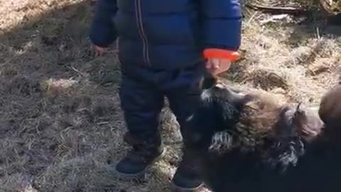 Cute baby and dog