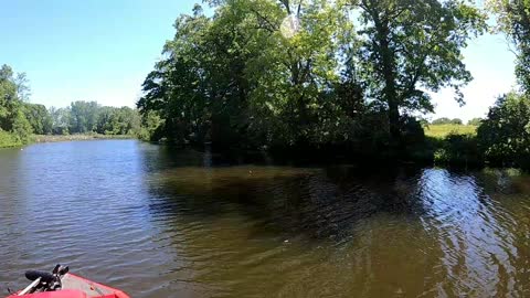 Relaxing Nature River