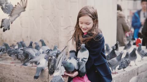 Several pigeons eat from little girl's hands. Slow motion