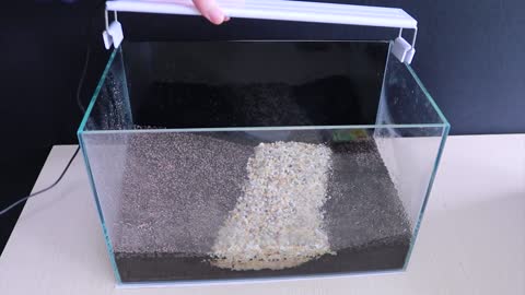 How To Grow Aquatic Plants in Aquarium Amazing Diy Aquascape For Betta Fish No Co2 Have Filter