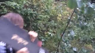 Guy hitting branch with skateboard