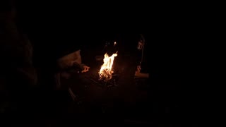 Woodland wildcamping campfire