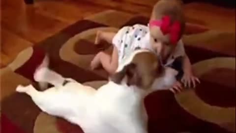 Dong and Babies || Dogs play with babies ❤😍😊