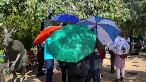 The Umbrella People at Government House - Monday 19th September 2022 👨‍👩‍👧‍👦⛱👨‍👩‍👧‍👦☂️👨‍👩‍👧‍👦☔️