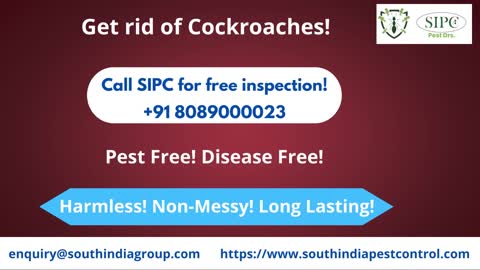 Cockroach Treatment Bangalore