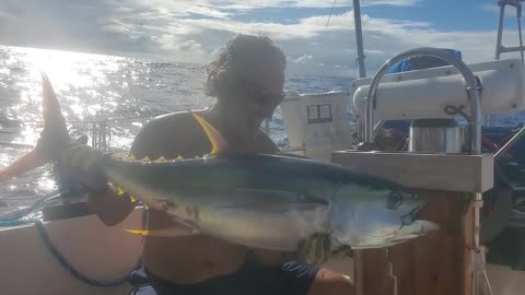 Yellowfin tuna fishing in the middle of the Pacific Ocean