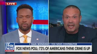 Dan Bongino On "Fox News Primetime"