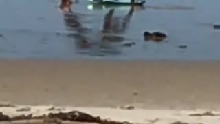 Wetsuit guy does pushups on beach next to board