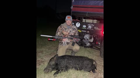 South Texas Boar