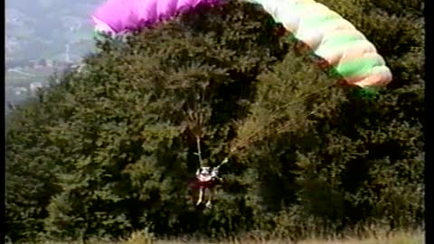 Colorful Paraglider Crashes Directly Into Huge Trees
