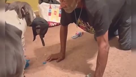 Dog and grandfa fight for the cap