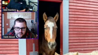 🐴 We're horsing around this week! from #QualityMatters Ep 173