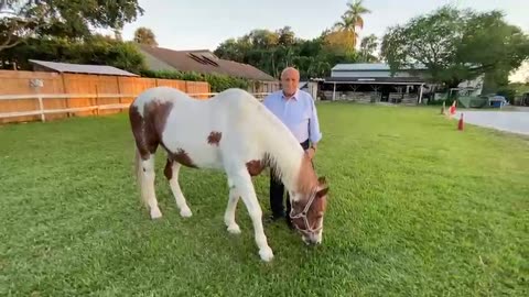 John Rivera is committed to protecting the equestrian community and its majestic animals.