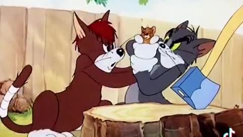 Tom and Jerry Cartoon 🤣😂