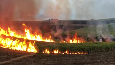 Massive sugar cane fire