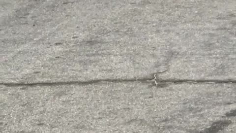 Guy slowly rollerblading parking lot