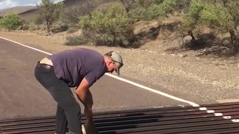 Kangaroo nearly breaks legs stuck on bridge