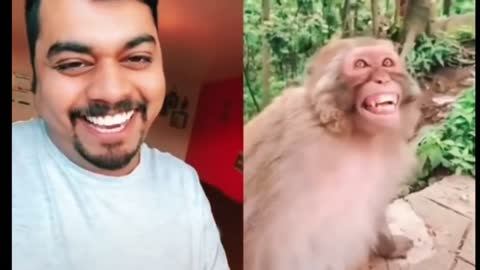 Animals Prank Funniest Video #9
