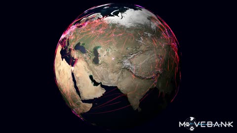 Global animal movements based on Movebank data (globe) [Most Recent!]