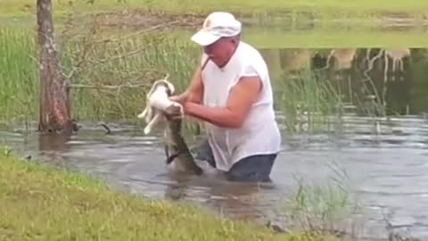 Florida Men rescues puppy from the alligator 👀🔥