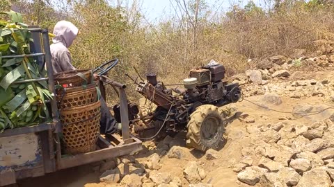 A farm vehicle 1 bridge to banana market is very strong