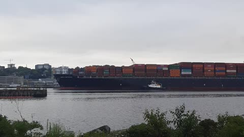 Container Ship leaving Halifax Harbour